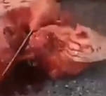 Behind Bars - Prison Compilation