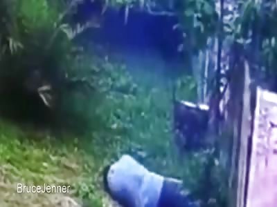 Spectacles of Stupidity 8 - Boys are Back