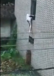 This Dildo is WAY too Big..Watch what Falls out of this Girls Bag..10 + Only 