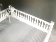 Woman Falls To Death When She Attempts To Pee