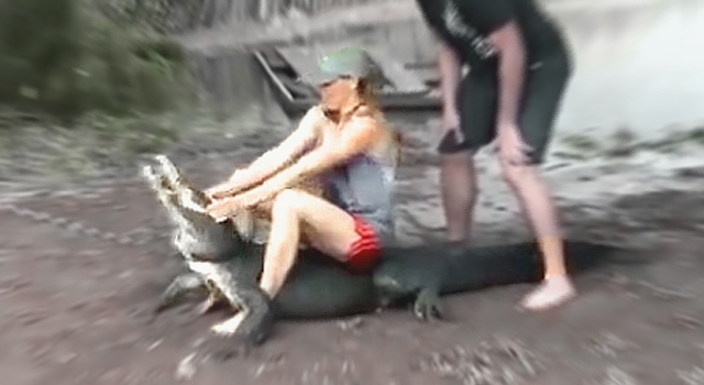 Animals Fucking Hate us Volume 10