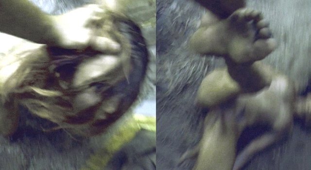 Meanwhile in Alabama... WTF!!!!!!