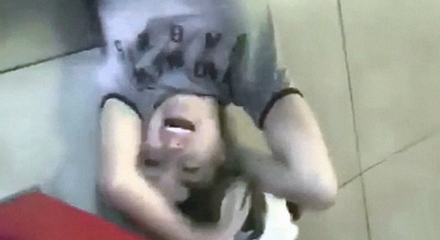 Animals Fucking Hate Us. Vol. 25