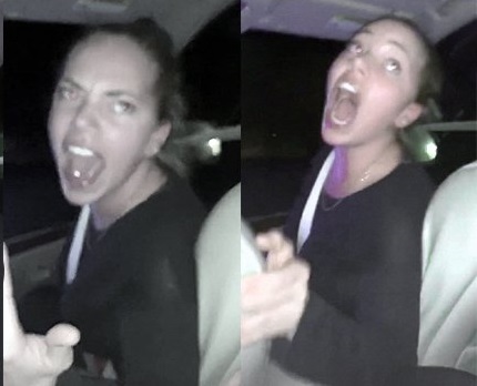 Bitches Final Meltdown.