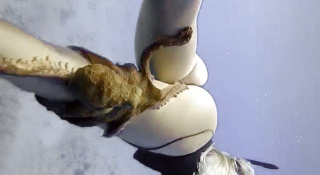 ANIMALS FUCKING HATE US: VOLUME 47