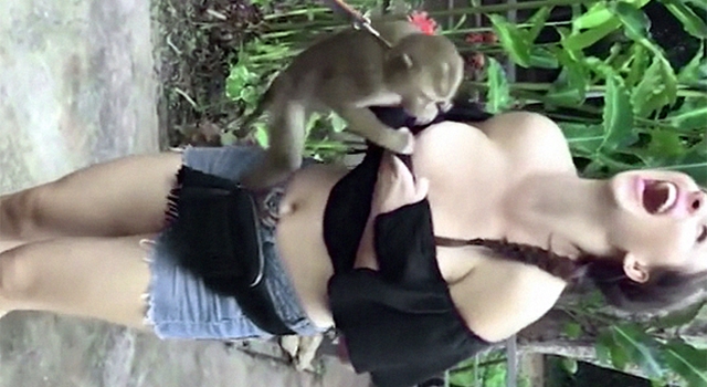 ANIMALS FUCKING HATE US: VOLUME 60