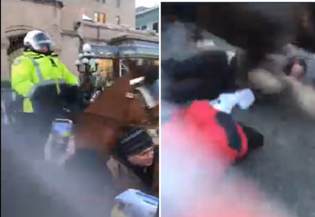 SHOCK: Elderly Woman Trampled to Death in Ottawa by Police Horses