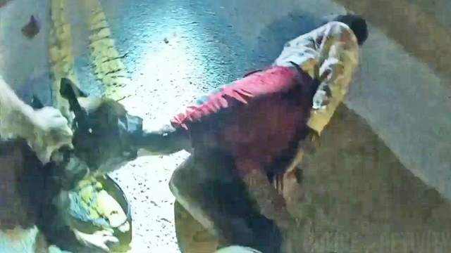 Dog Damn Near Chews Suspects Foot off.