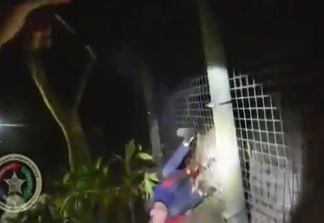 Florida Police Shoot Dead Endangered Tiger 