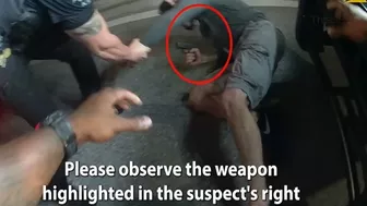 Man Pulls Gun at Traffic Stop.... Shoots Himself in the Chin.