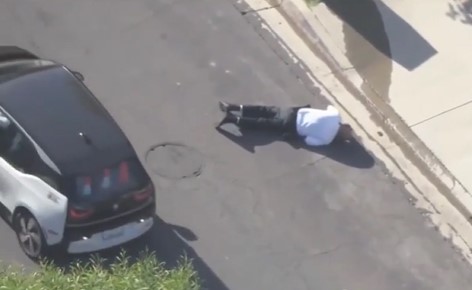 DAMN: Cop Attacked by Swarm of Killer Bees