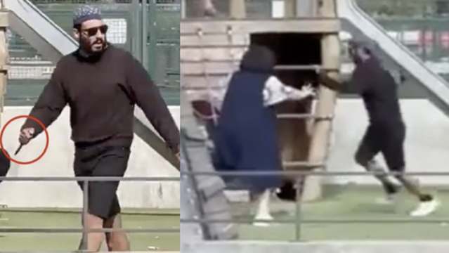 Luntaic Goes on a Stabbing Spree in a Park