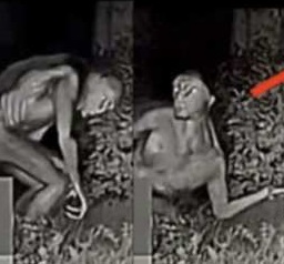 YO!!!! Crazy Footage of Alien in Vegas Caught on Camera