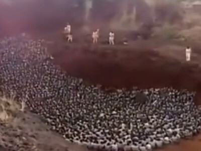 Like Sheep's to the Slaughter (Entire Crowd Gassed)