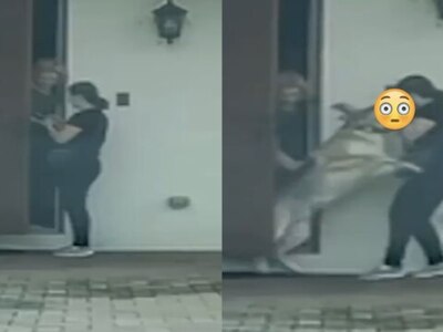 Delivery Girl Savagely Mauled by HUGE German Sheppard