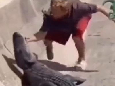 Moron vs Gator