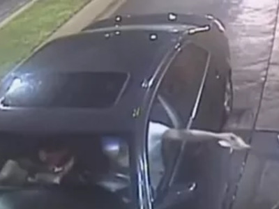 Imbecil Playing with Gun in a BK Drive Thru Shoots Employee