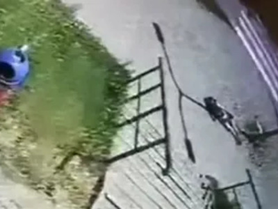 Youtuber makes Live Death Video