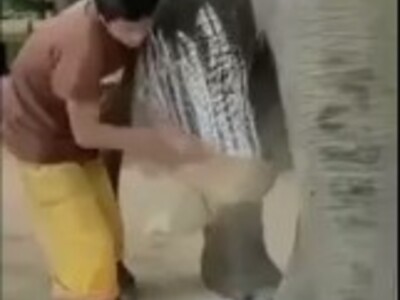 WTF Going on with this Guy and the Elephant?