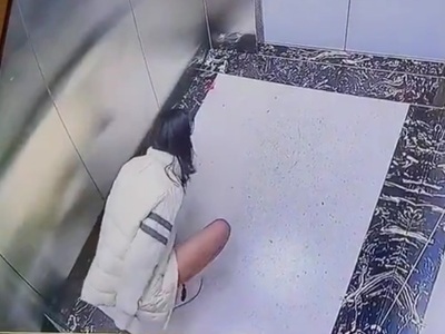 Female or Dog? I can't Tell