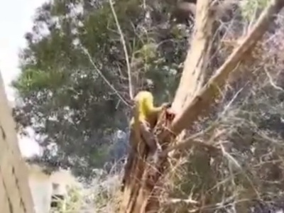 Hold on Tight..Nothing can Save Him