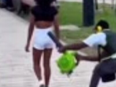 Leaf Blowing Avenger.