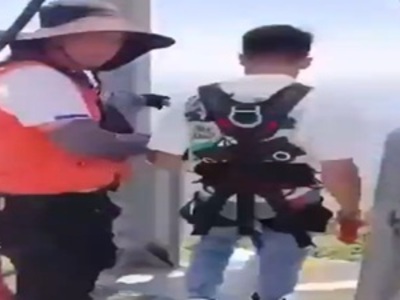 Stupidity or Suicide?