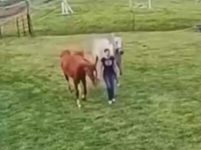 Girls LOVE Their Horses