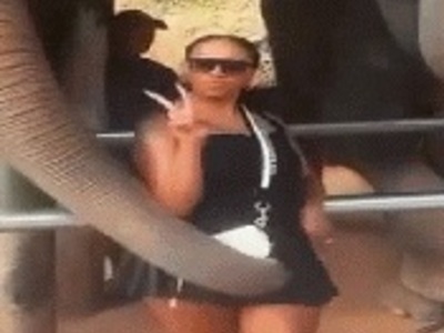 Elephant Don't give a Crap