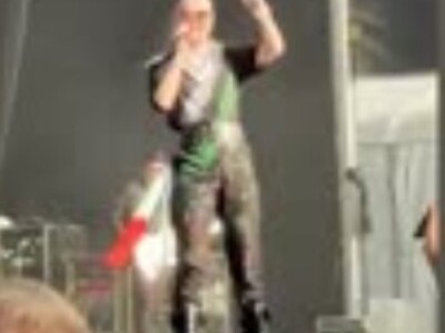 Garbage Singer Shirley Manson Has A Massive Meltdow