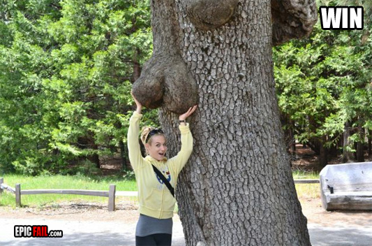 Tree Win