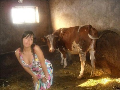 No Words in Any Language on Earth Can Describe What Your About to Watch