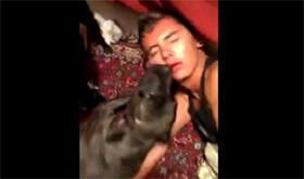 LMFAO: Drunk Threesome Fail