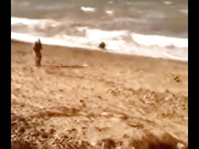 Wild Boar Attacks a Man on the Beach and is then Beaten to Death by a Mob