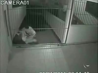 15 Year Old Girl is Horrifically Beaten to a Bloody Pulp