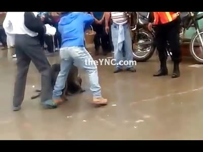 Very Graphic Video shows a Pitbull Killing Another Dog at an Event..No One can Stop It 