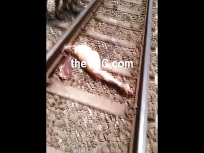 Man is Completely Dismembered by a Train