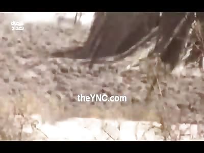 Massive Machine Gun Fire Ends an Already Injured Enemy and Creates a Dust Storm