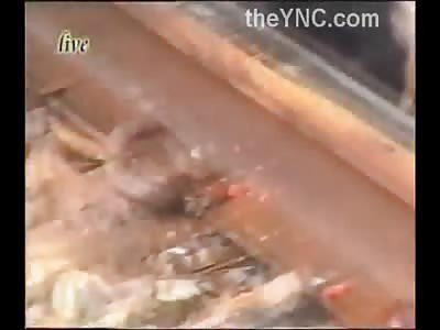 A Very Effective Suicide .... Beheading by Train