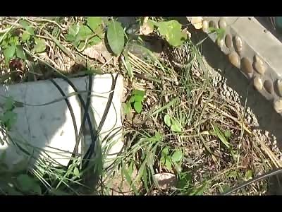 UNLUCKY: Man is Crushed Underneath Falling Powerlines