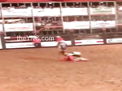 Bull Tramples man To Death