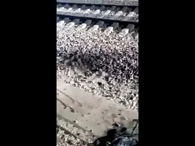 Man is Literally Ripped Apart by Train Pieces Scattered Everywhere
