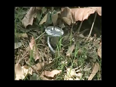 Don't Open that Box!! Woman and Man Found Stuffed into Two Boxes