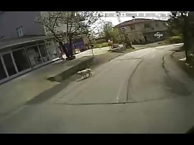 Bus Driver Faints and Runs over 2 Women