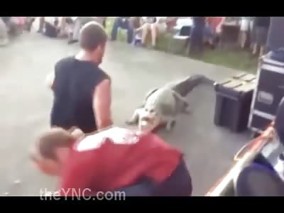 Watch How Fast an Alligator Can Strike (Watch Man in Red)