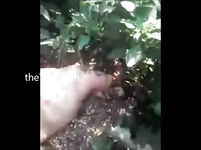 TRUE GORE: Rider Completely Destroyed After High Speed Crash... Body Pieces Everywere