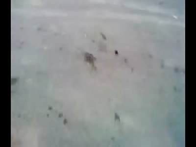 Incredibly Shocking Video Shows Woman's Vagina Ripped Out From Horrible Accident