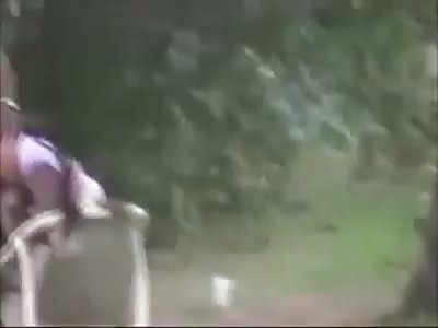 Crazy Orgy With Whores in the Woods