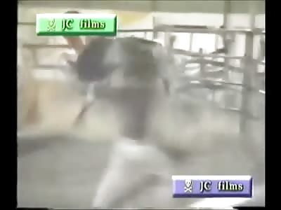 Bull Rider Smashed into Fence Dies Instantly 