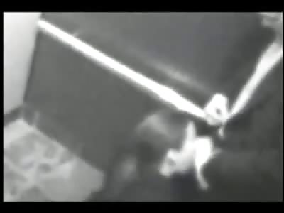 Dude Can't Wait Fucks a Hooker in the Elevator